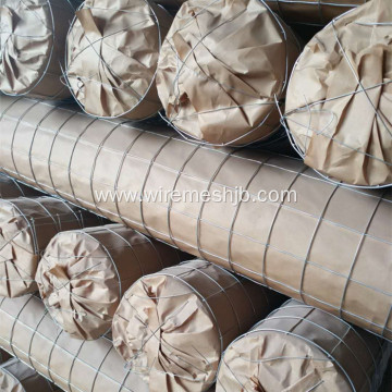 High Quality Welded Wire Mesh Rolls